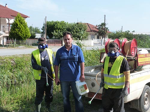 Συνεχίζεται εντατικά για 5η εβδομάδα το πρόγραμμα καταπολέμησης κουνουπιών στο Δήμο Πέλλας