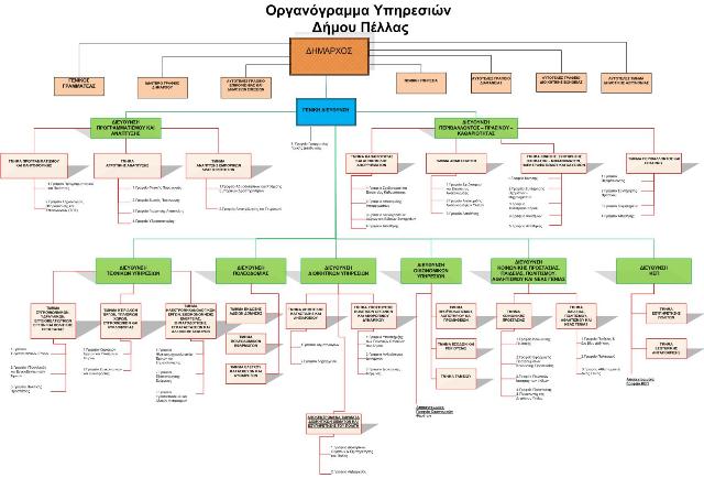 organogramma-smallnew